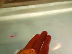 -和顺柏联温泉