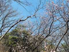 -沈阳辉山风景区