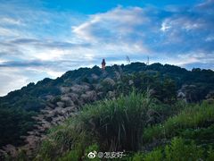 -沈家门渔港