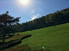 -童牛岭风景区