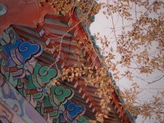 -青岛崂山太清宫