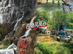 -南宁良凤江国家森林公园