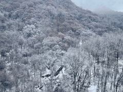 -少华山国家森林公园