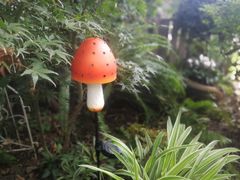 -上海市东方医院南院体检中心