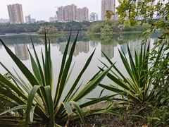 -南宁南湖公园