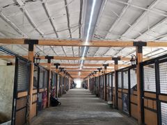 -北京群众马术培训基地