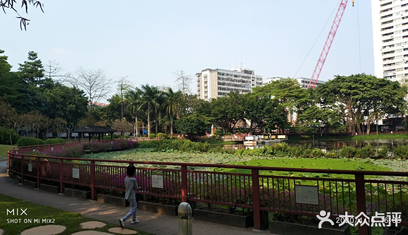 荔湾湖公园位于广州城西风景优美的荔枝湾地区