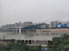 -李子坝梁山鸡(李子坝大鸡哥店)