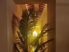 -泰迦·正宗泰式按摩SPA(东城店)