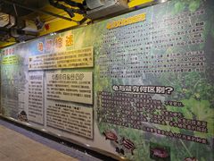 -上海大自然野生昆虫馆(东方明珠·爬宠昆虫探索中心)