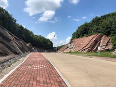 -哈尔滨北方森林动物园
