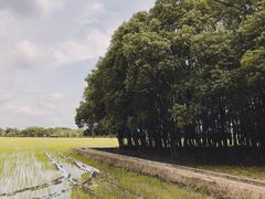 -嘉北郊野公园