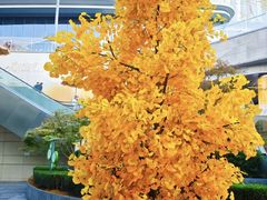 -新百广场(地铁站)