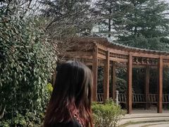 -嵖岈山风景区