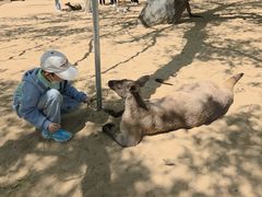 -秦皇岛野生动物园