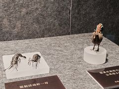 -广州十三行博物馆