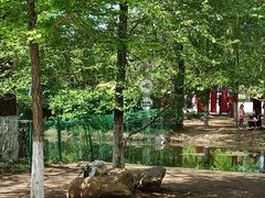 -长白岛森林公园