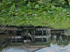 -荔湾湖公园