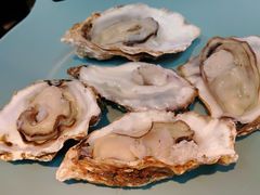 高压锅大连尚品生蚝-农家霸王地锅鸡(国顺东路店)