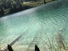 -武陵山森林公园