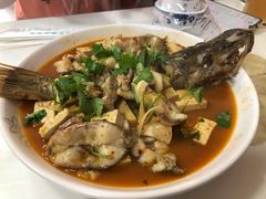 红烧狗鱼-煲来饱去冷水鱼