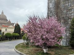 -蓬莱欧乐堡梦幻世界