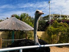 -三亚亚龙湾天域度假酒店