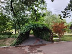 -莲花池公园