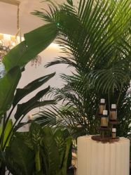 -芳香乐府疗愈空间·SPA·冥想