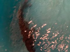 -长湘居(数码大厦店)