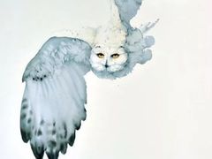 -八哥美术·成人美术画室(总校区)