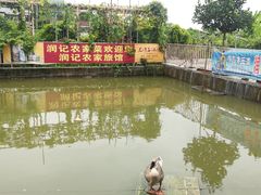 -润记农家菜
