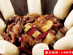 土鸡炖甲鱼-汇通杨家·烤肉(汇通店)