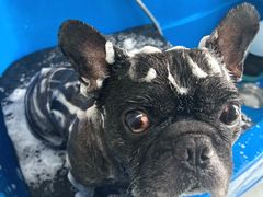 -心仪动物医院·牙专科·肿瘤·心脏科(西客站院)