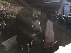 -中村藤吉(本店)