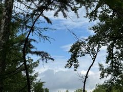 -峡谷浮石林景区