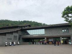 -都江堰中华大熊猫苑