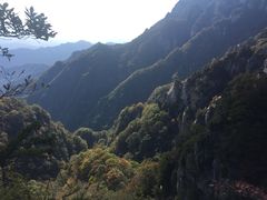 -王顺山国家森林公园