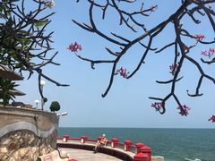 -华欣希尔顿温泉度假酒店