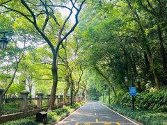 -杭州花家山庄