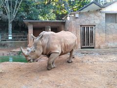 -昆明动物园