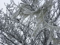 -太子岭滑雪场