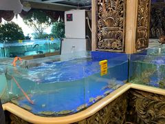 水产区-友鹏海鲜(新宜白大道店)