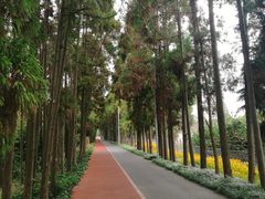 景点-上海长兴岛郊野公园