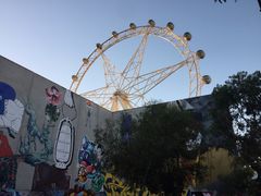 -墨尔本之星 观景摩天轮