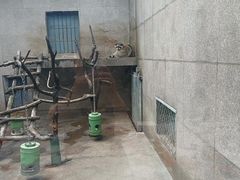 -秦岭欢乐世界