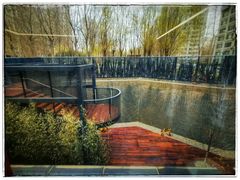 -艾儿思国际幼托园(双井园店)