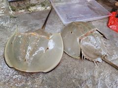 -海门岛七号餐厅