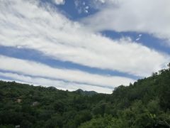 -白水寺森林公园