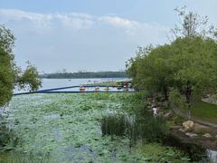 -长春市南湖公园